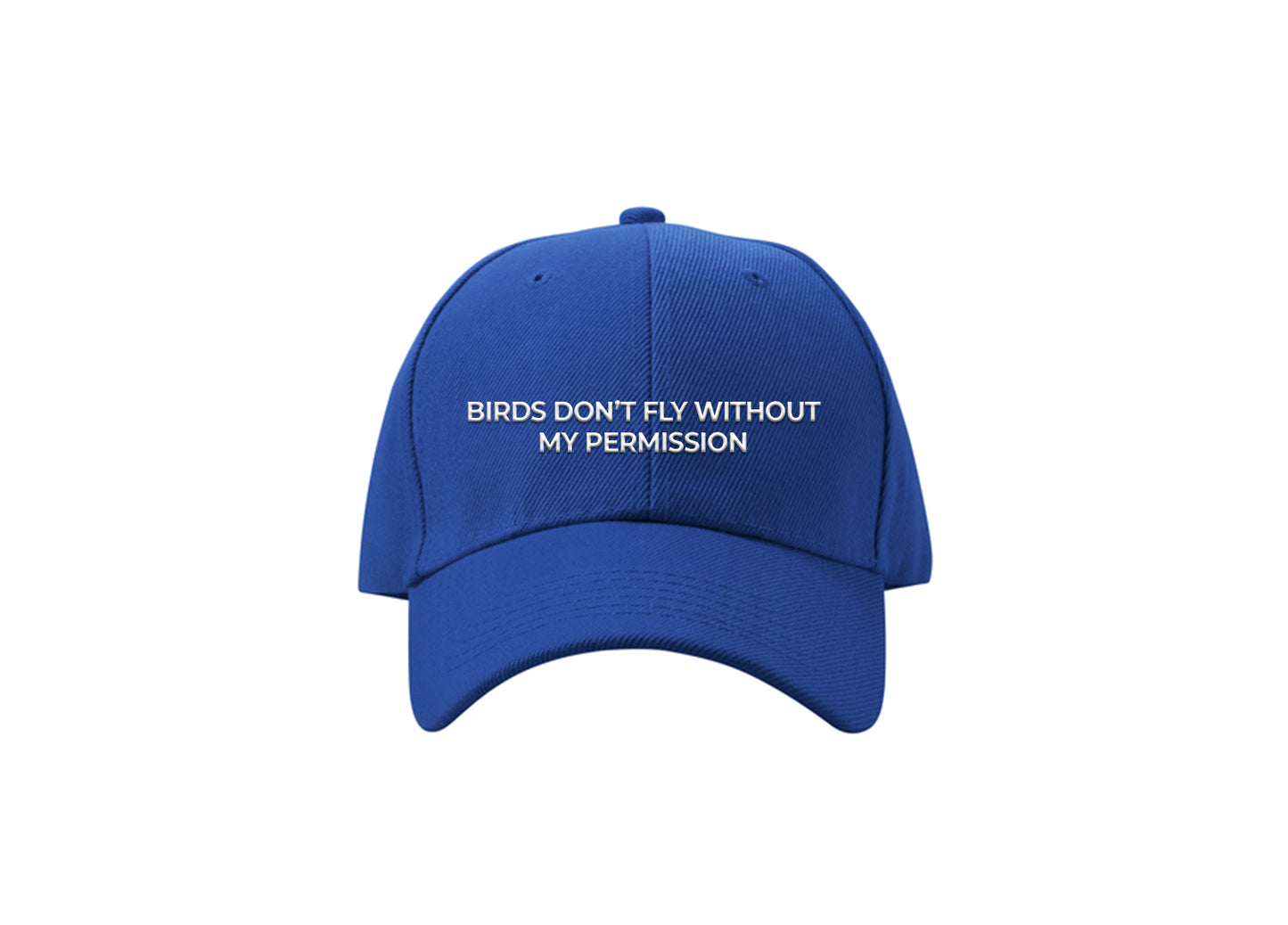 Birds Don’t Fly